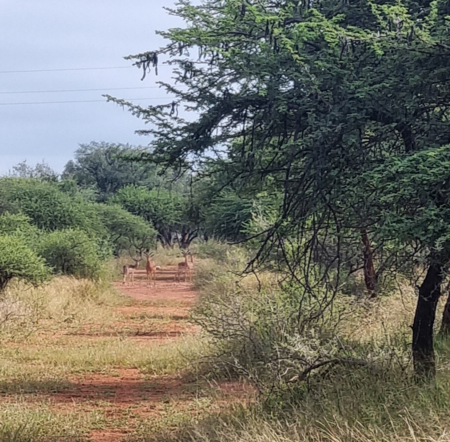 3 Bedroom Property for Sale in Koster North West